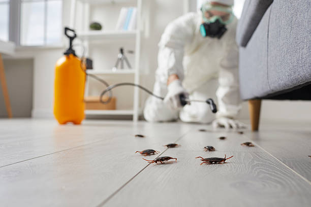 Trusted Termite Control service in Kaysville, UT - Nex Pest Control